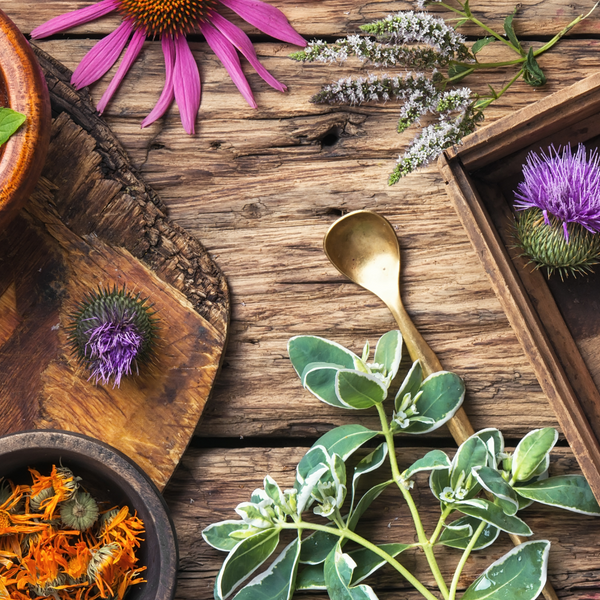 Herbs for Natural Hair: 10 of the Best Herbs for Hair Growth